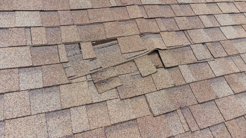 Asphalt Shingle Damage Repair