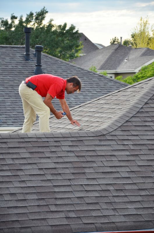 Shingle Maintenance