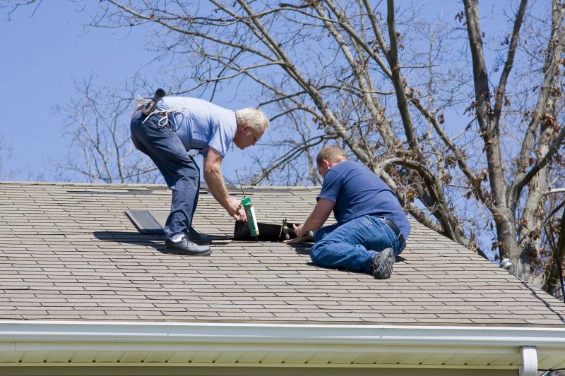 Roofing Service Provider 2